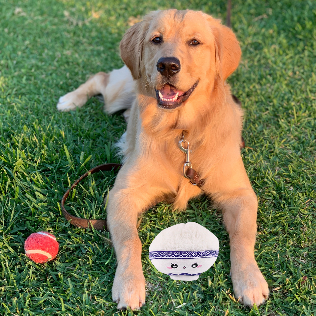 Rice Bowl Dog Toy