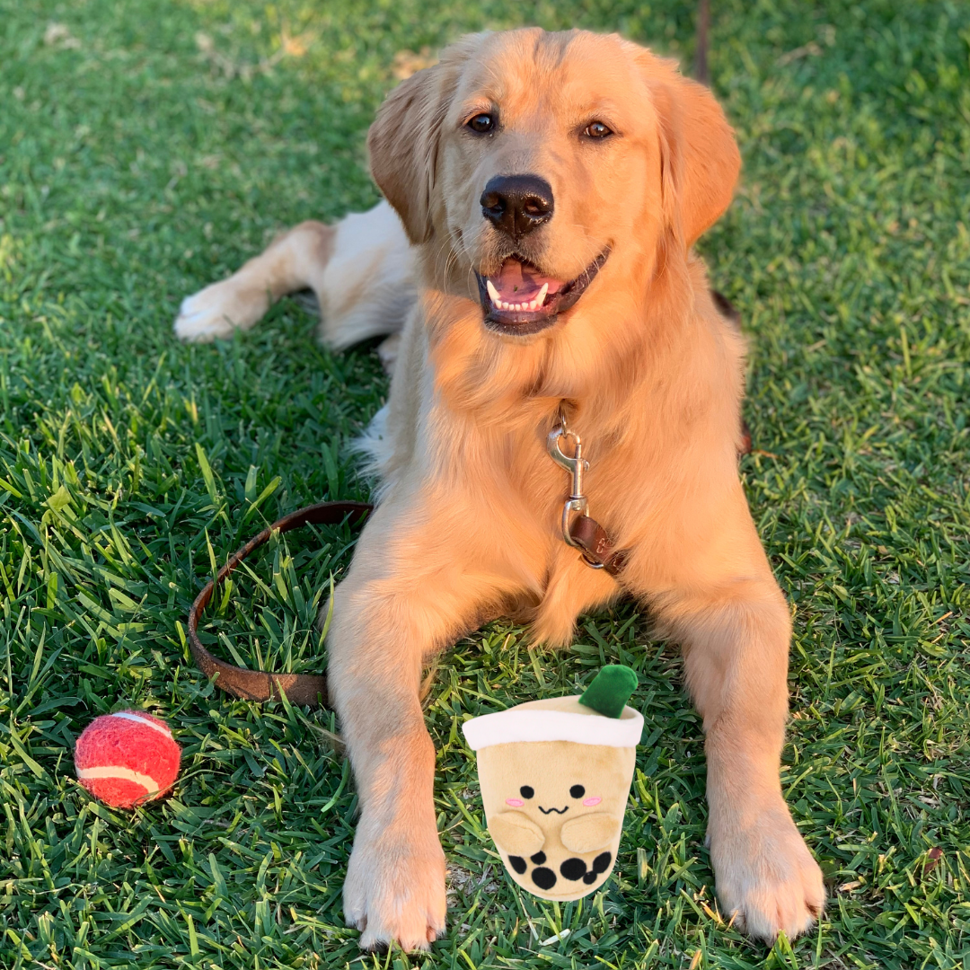 Boba Milk Tea Dog Toy