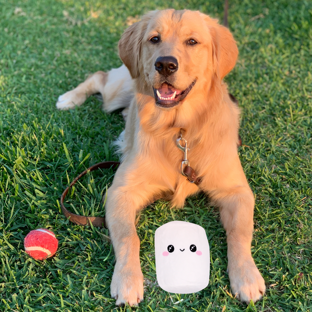 Marshmallow Dog Toy