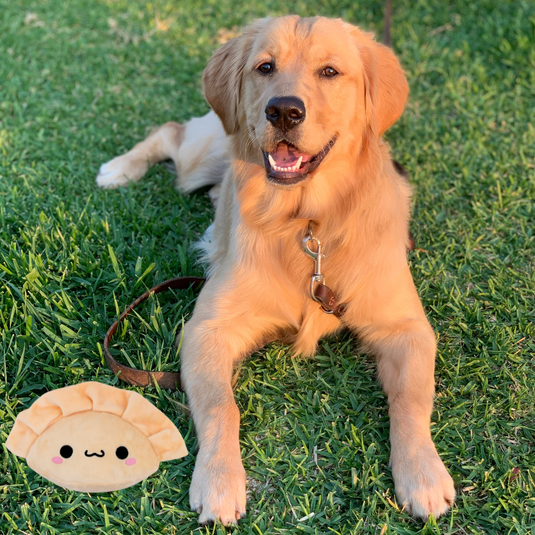 Gyoza Dumpling Dog Toy