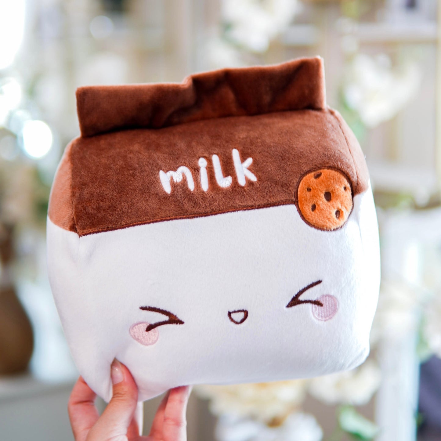 Chocolate & Strawberry Milk